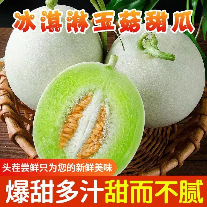 冰淇淋玉菇甜瓜新鲜水果当季山东产地直发sss