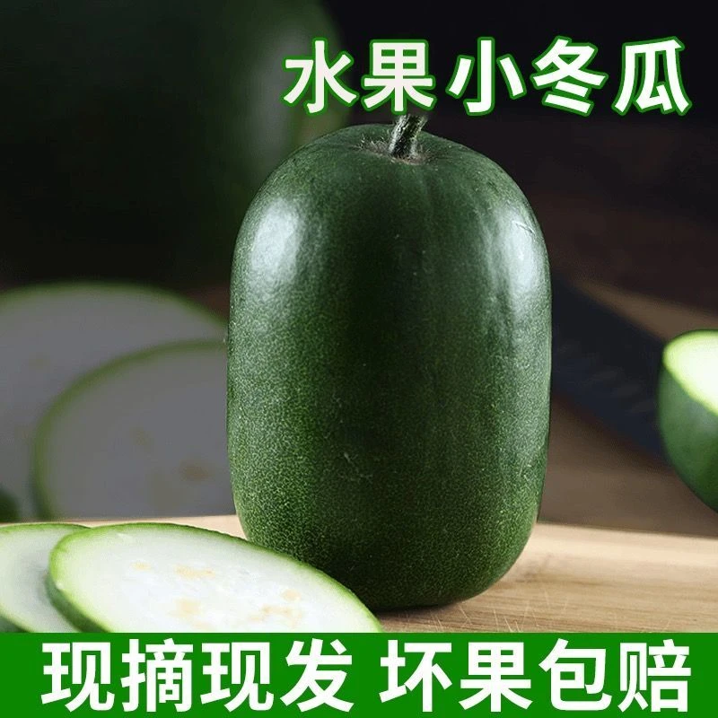 迷你小冬瓜新鲜现摘水果口感绵密可凉拌炖菜当季农家