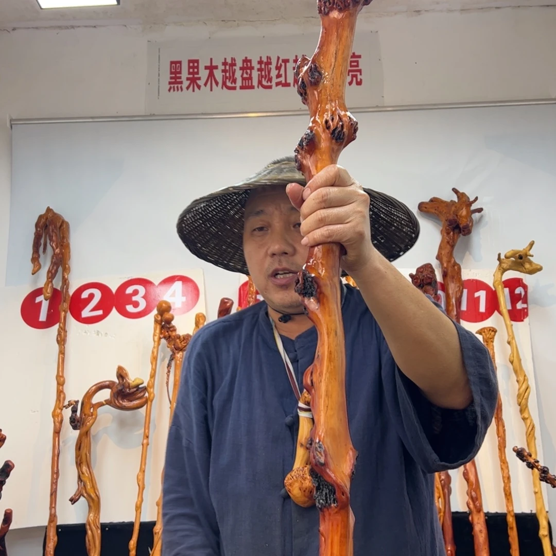 N***皖黑果木其他黑果木697