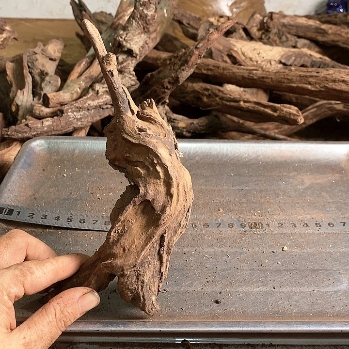 花梨木类用****6海南花梨
