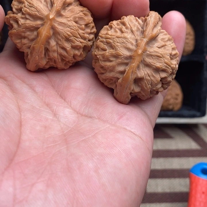 微修尖宫灯44尺寸….