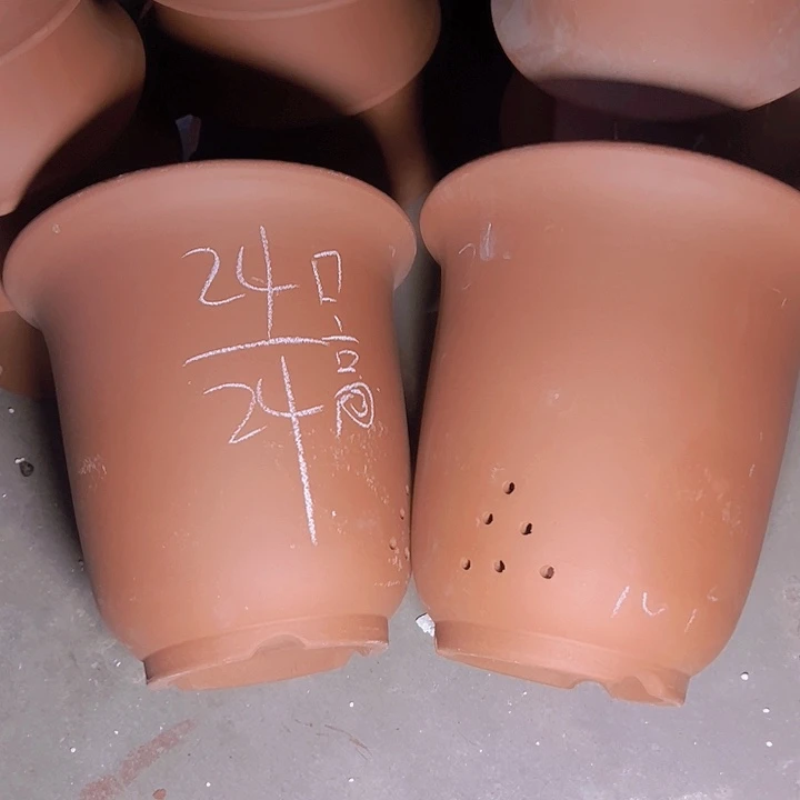 周深周深周深周深周深