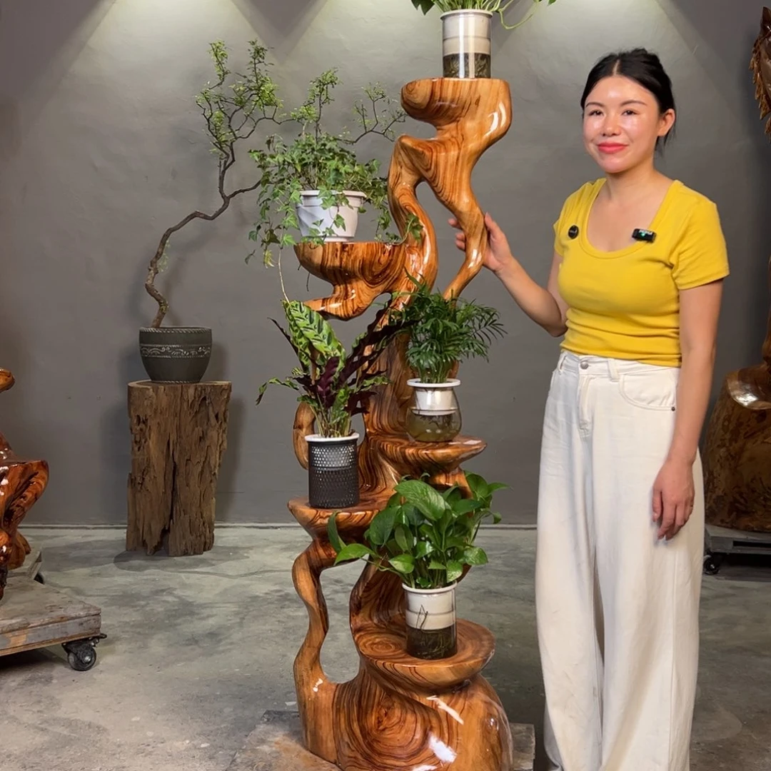 香樟木整体无拼接