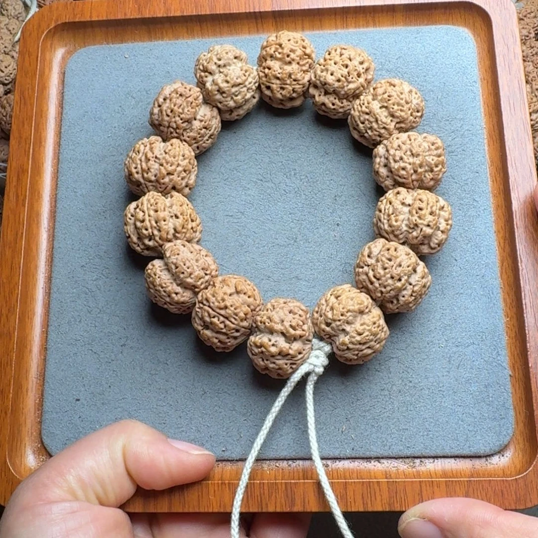 菩提菩提18号尼泊尔大金刚25深沟梅花