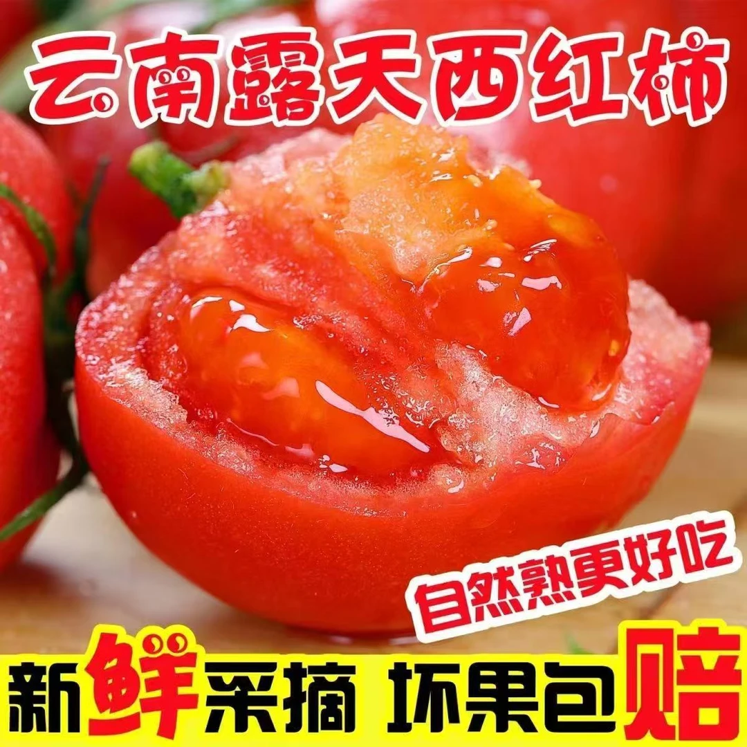 云南西红柿蔬菜番茄优品现摘自然熟酸汤果新鲜蔬菜薄皮爆浆
