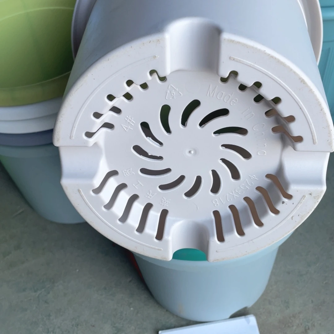 编号是20号的20号的