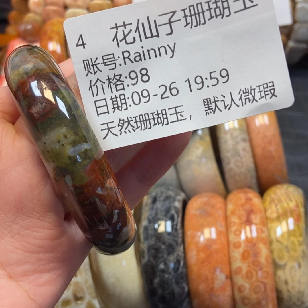 R***y硅化珊瑚（珊瑚玉）未镶嵌珠宝半成品4