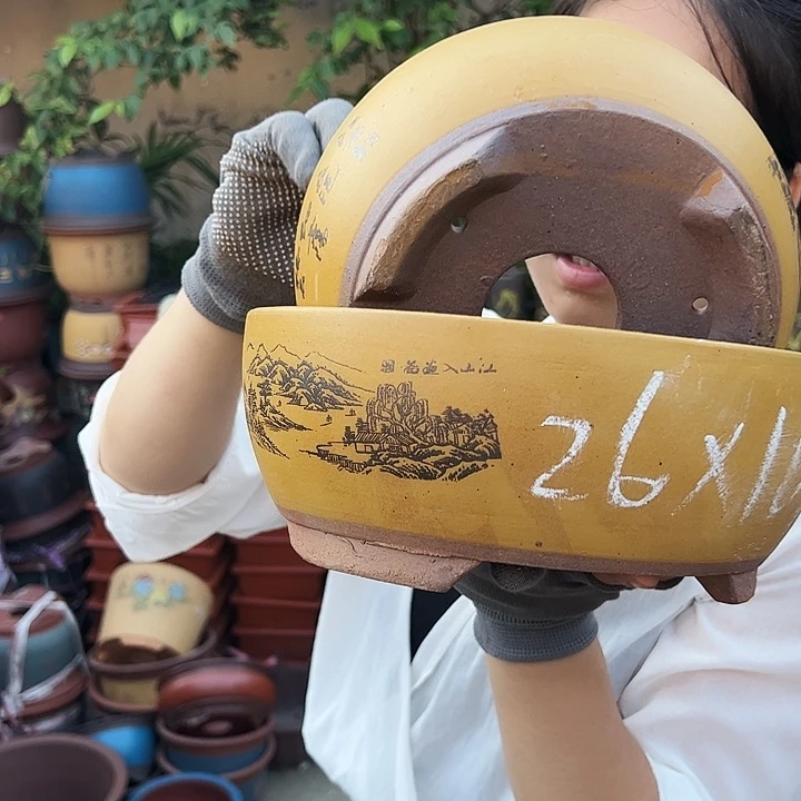 黄色江山如画中小一对
