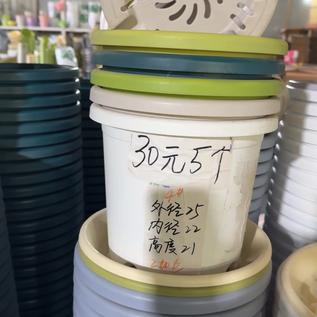 四季4#口径25无拖果绿10个
