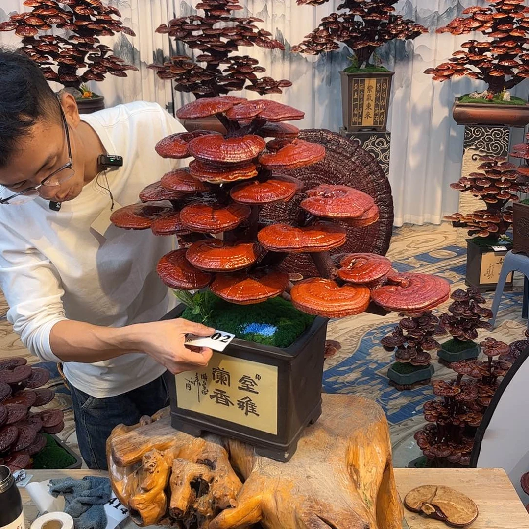 无花朵85888888888888