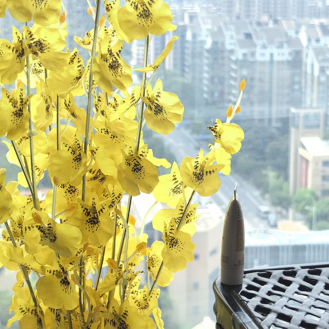Y小M家k老年月莫霜
