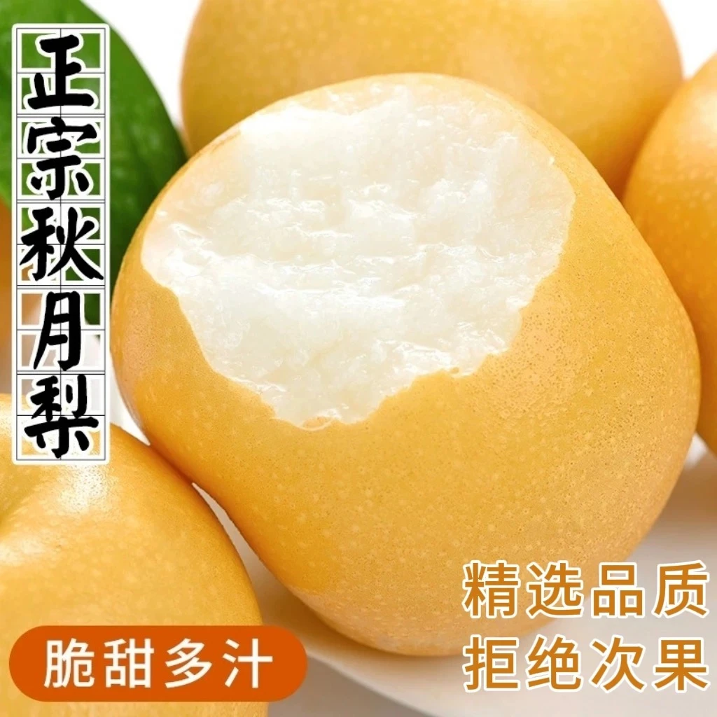 正宗秋月梨 皮薄肉厚 脆甜多汁新鲜应季水果 带箱5斤装