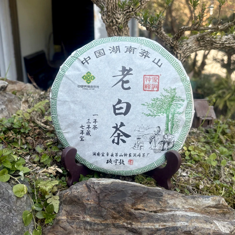 湖南莽山钟家涧峰茶厂老白茶寿眉白茶饼莽山寿眉白茶莽山老白茶