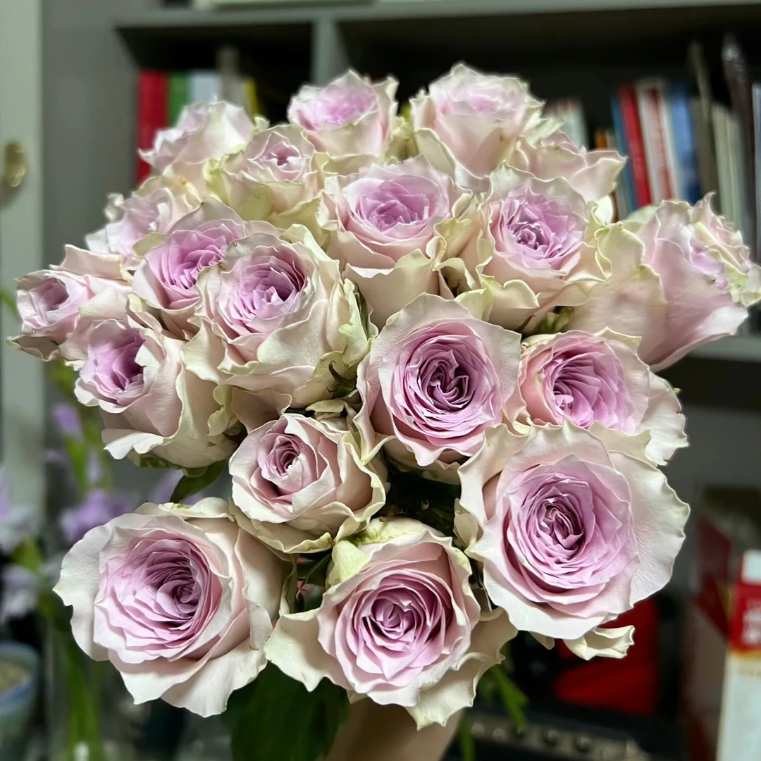 【轶11】粉钻玫瑰18支+2支防损鲜切花玫瑰鲜花收到花带包装醒花