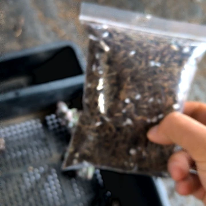 土一包试用装，满7元包邮