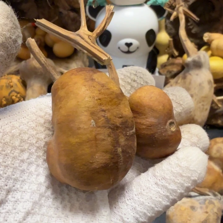 橙***子766667666777777777888