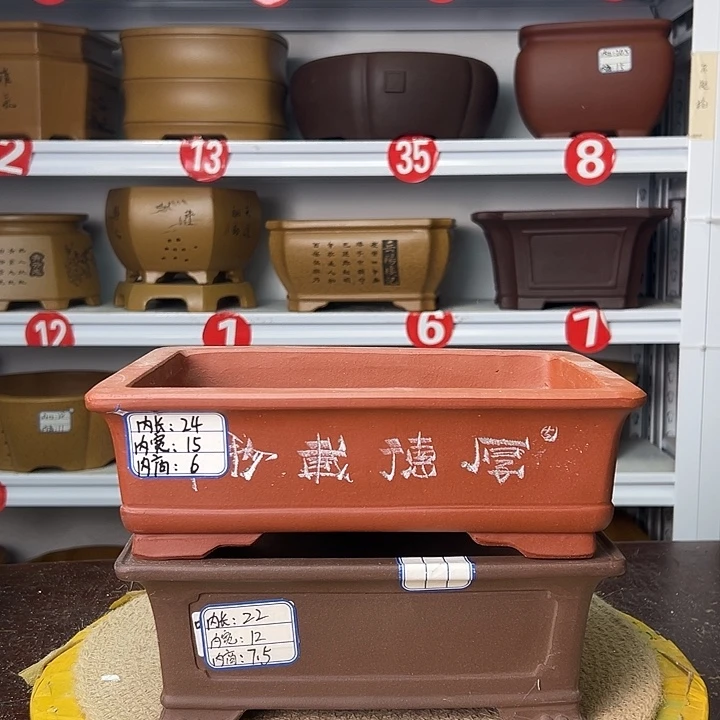 花盆紫砂你在一起