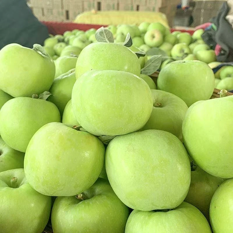 头茬现摘新鲜青苹果当季应季水果酸甜脆爽可口