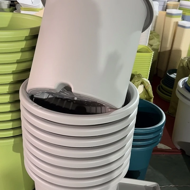 四季55口无托灰白2个