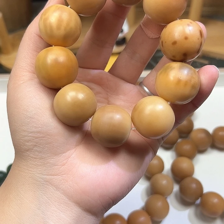 菩提根/象牙果吊坠