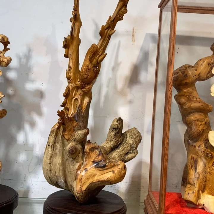 柏木（崖柏）太行崖柏