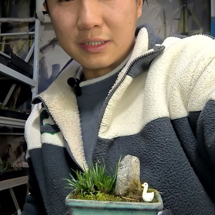 尔***哥中青园艺一物一拍花264