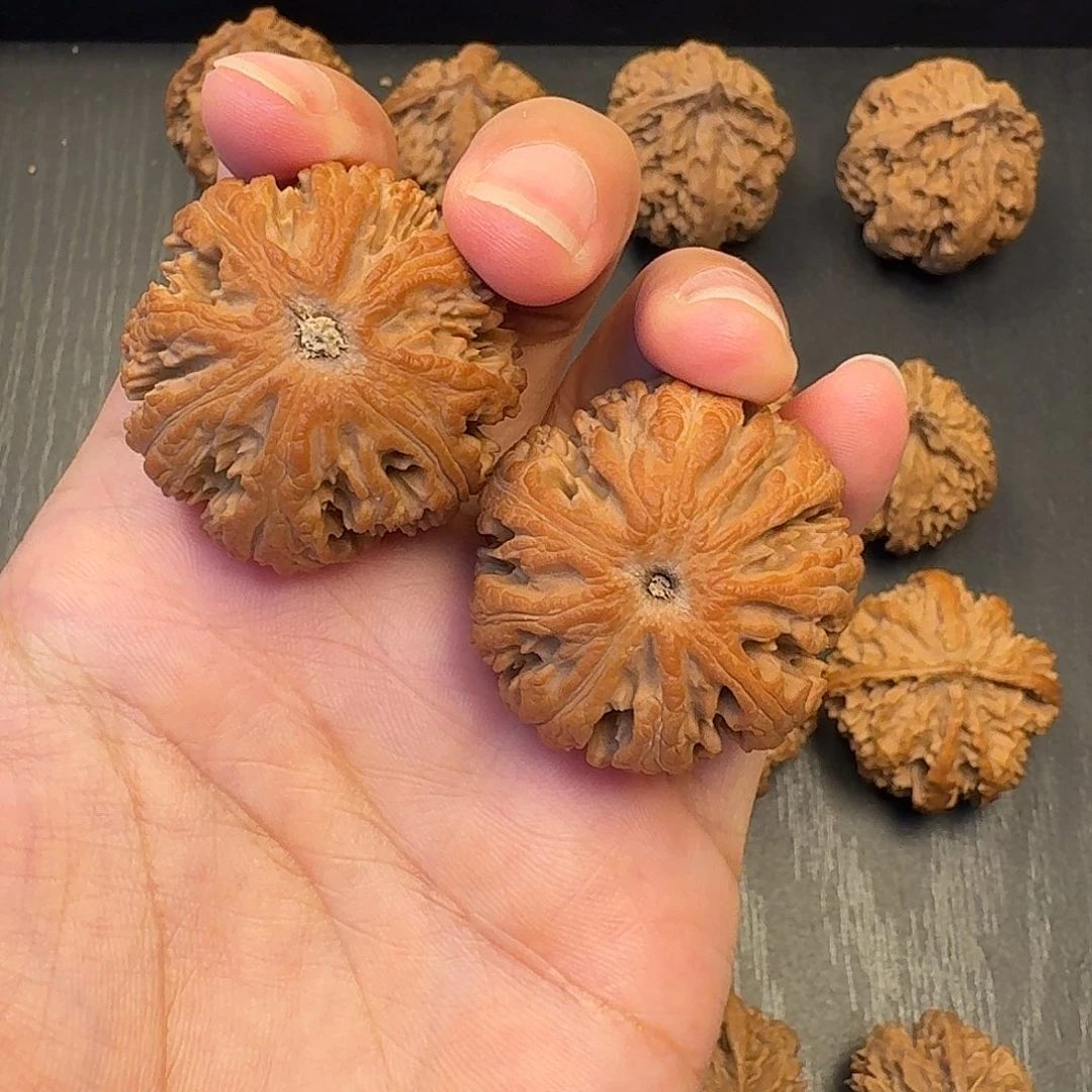 檀***司核桃突突突突突突突突突