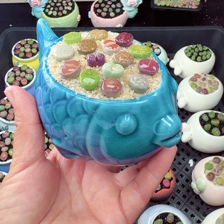 353零下地区记得拍保温箱满18包邮