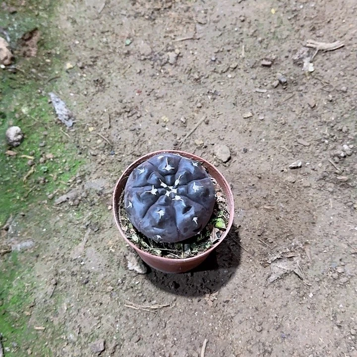 徐***国哈哈哈哈哈哈哈哈哈