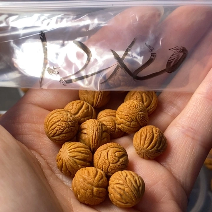 东***w文玩核桃手串秦岭野生龙纹桃核12