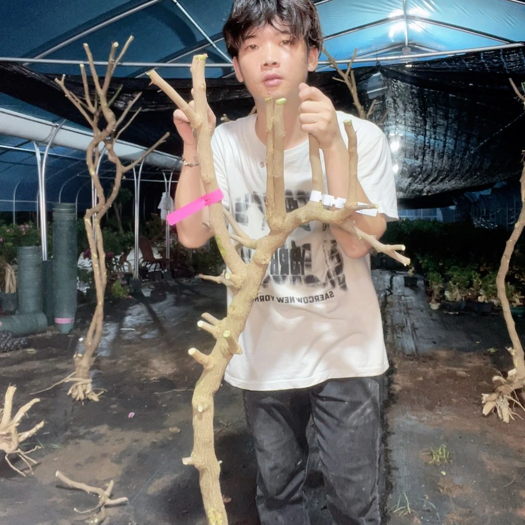 完全开放好东西啊