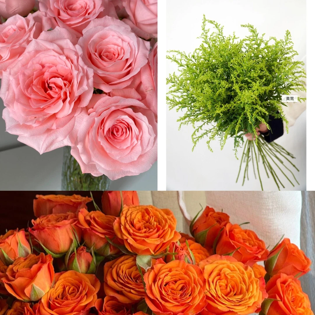 戴安娜10枝橙色芭比3混搭组合.鲜花瓶插花