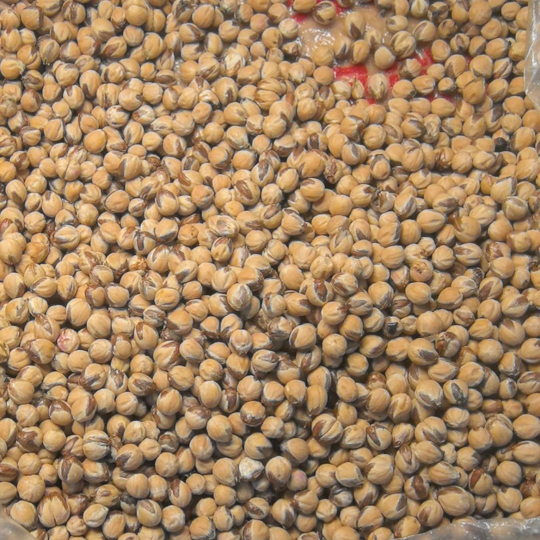 蹲***事柏香籽/百香籽手串