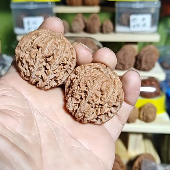 40尺寸，137狮子头，对一般