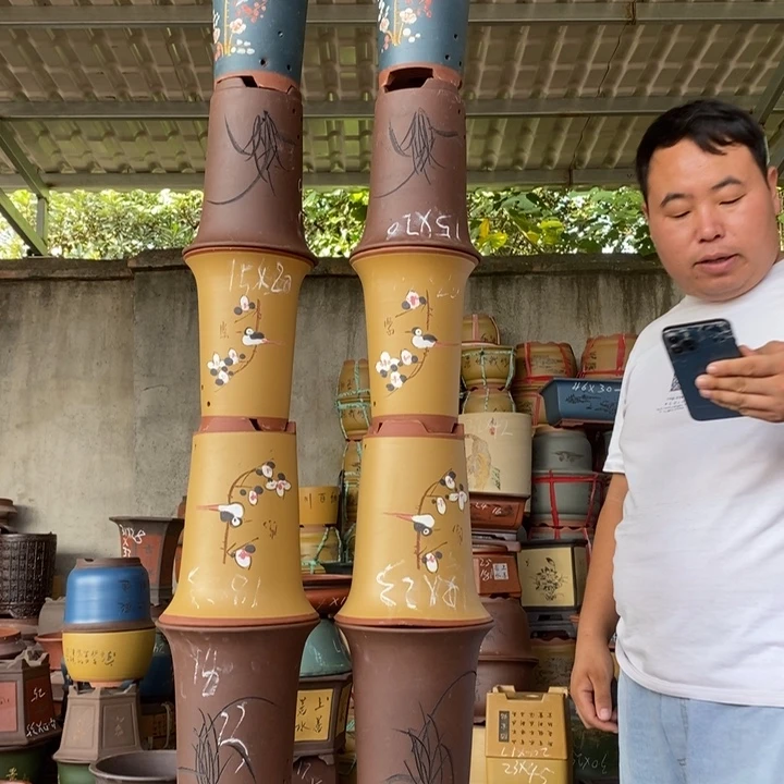 紫砂花盆盆栽花卉苗木种植