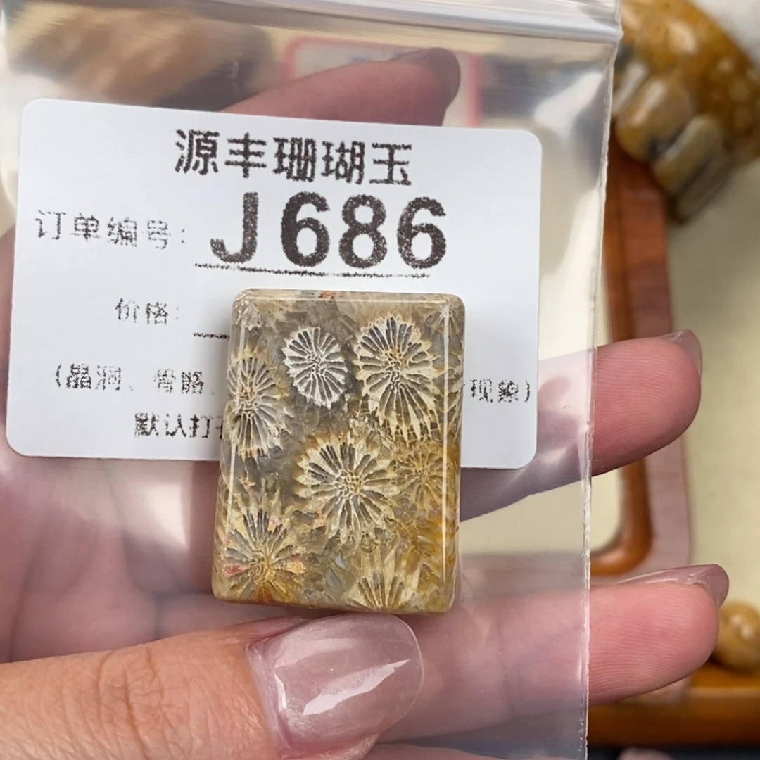 硅化玉颈饰未镶嵌凉