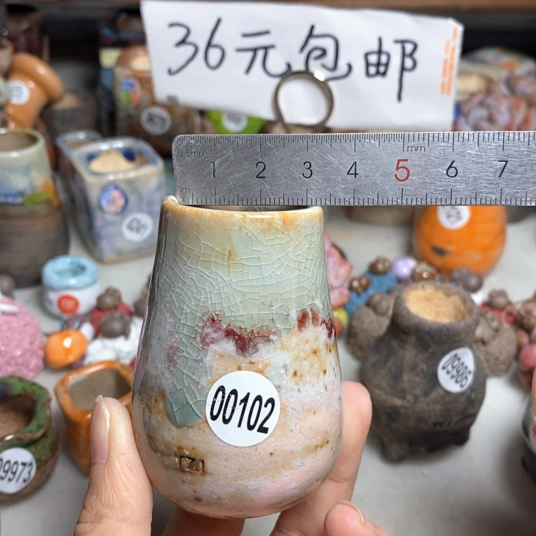 拍5送一个小礼物