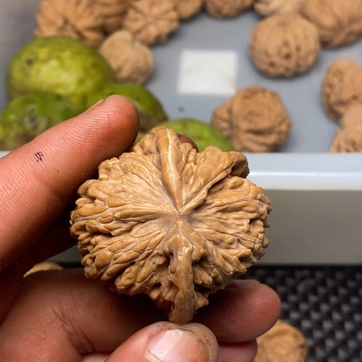 挪***林吊坠文玩核桃文玩核桃异形单只