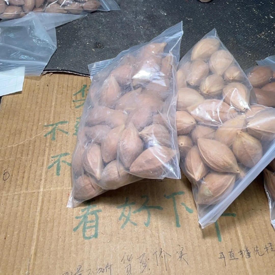 回***哥橄榄核吊坠橄榄核