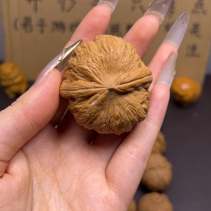 微***变菩提籽类元宝单只异型有瑕