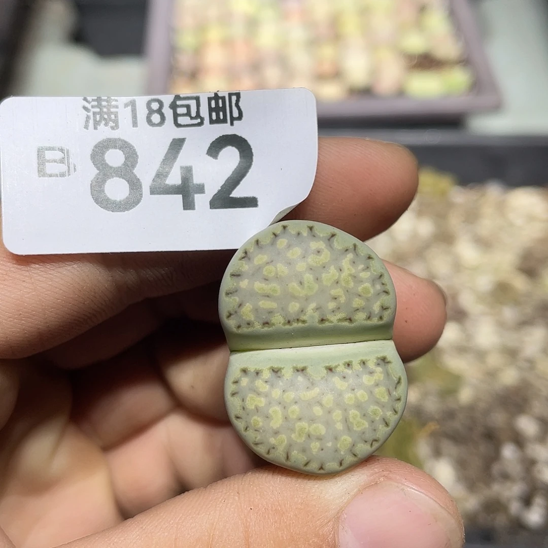 当天凑满十八元包邮842