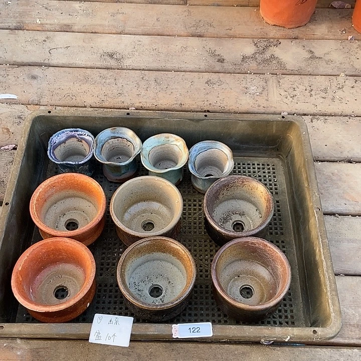 122号盆十个爱心专拍山东