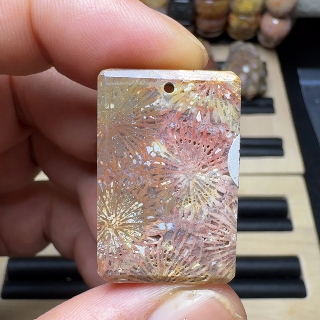 硅化珊瑚（珊瑚玉）未镶嵌纯天然色有机玉石保真色