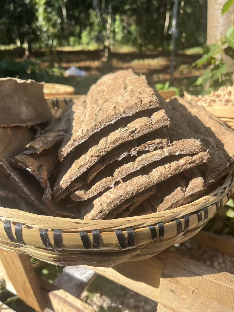 【杜仲】可拉丝 可搭配枸杞泡水