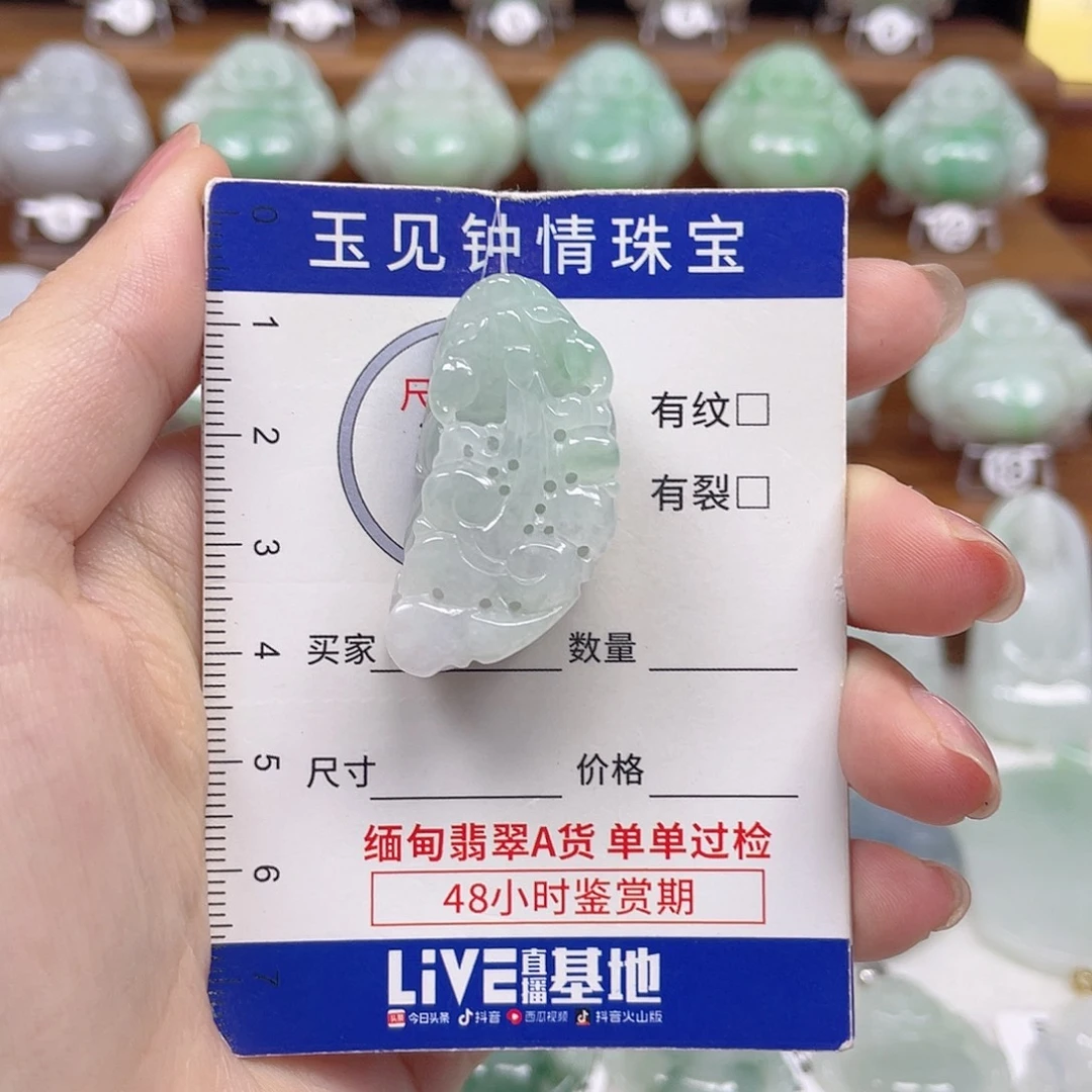 翡翠未镶嵌颈饰貔貅