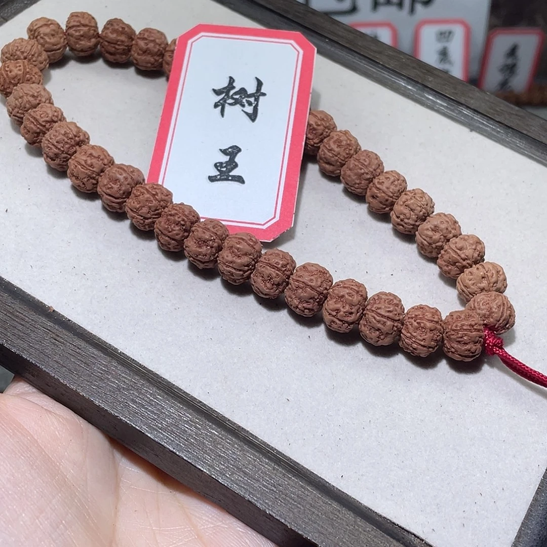 手串金刚菩提198树王