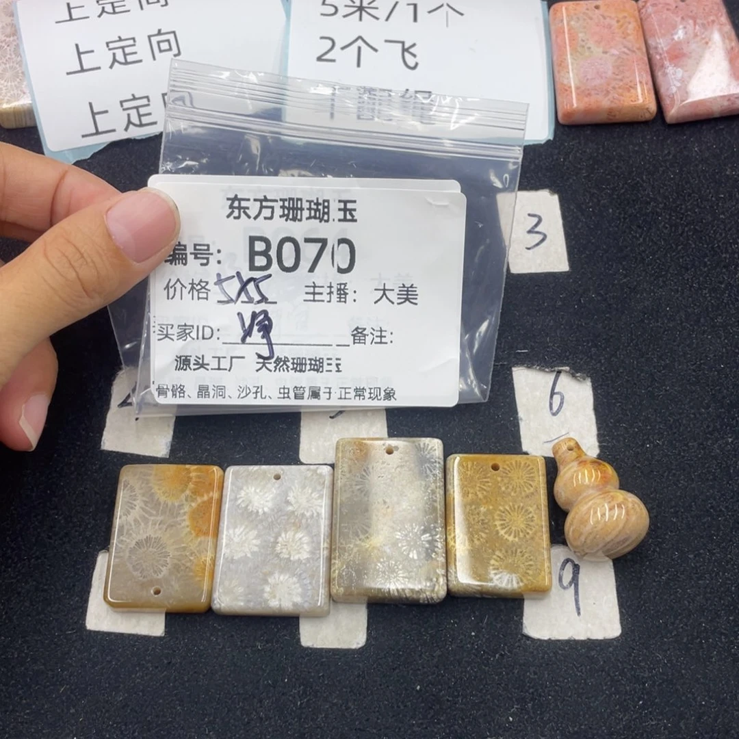 硅化珊瑚（珊瑚玉）合金颈饰净*