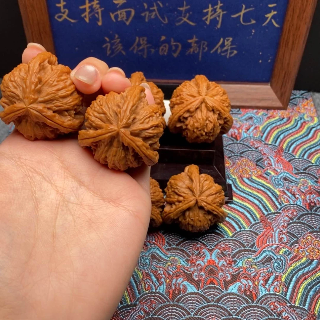 【闪购商品】命白狮