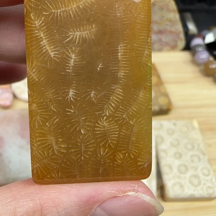 合金颈饰硅化玉 糖色羽毛虫