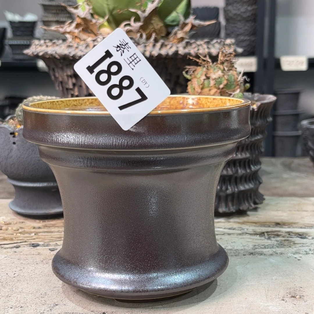 陶内口12.5高11景德镇